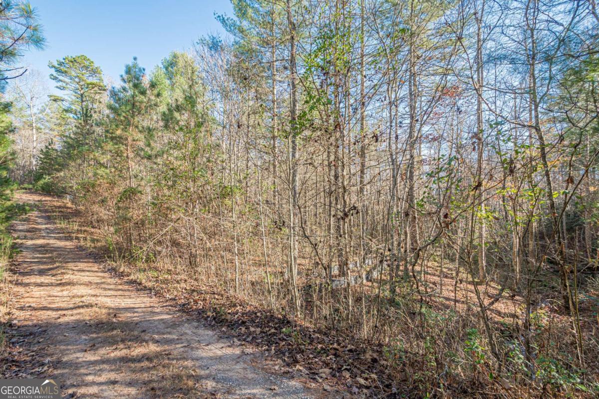 0 Pine Woods Drive Blairsville GA 30512