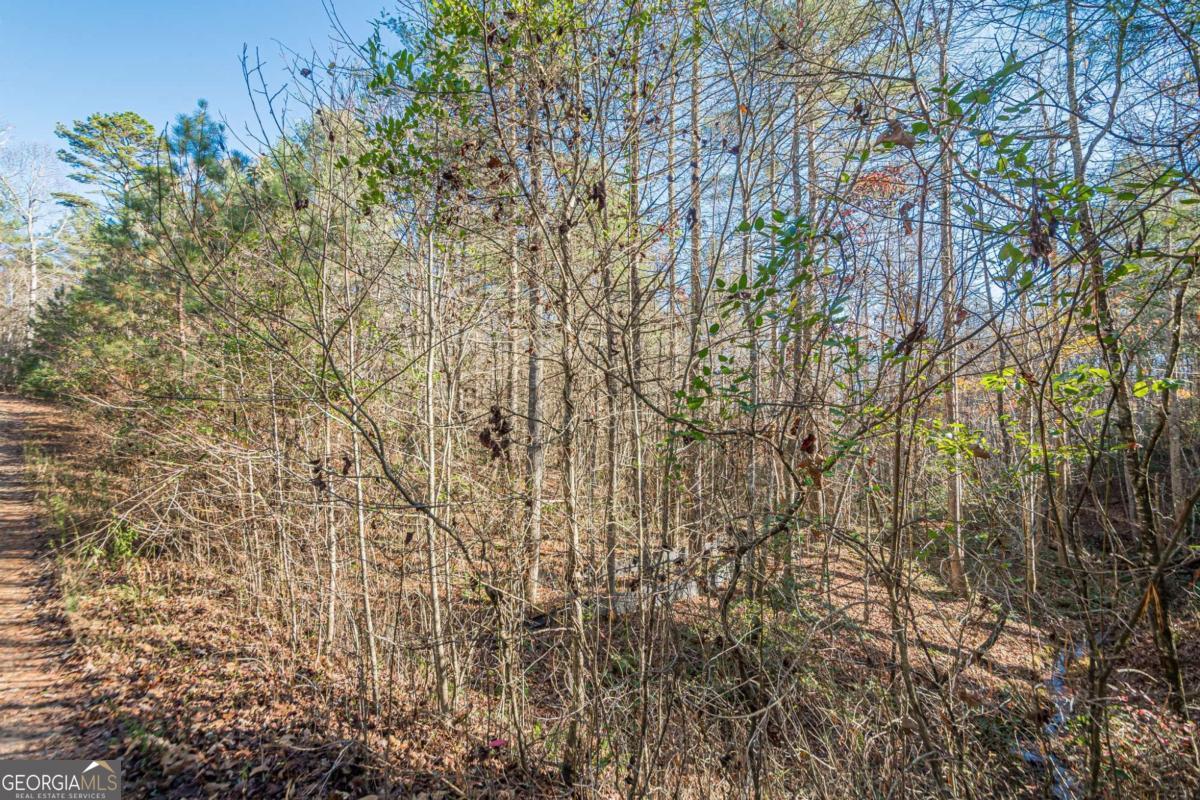 0 Pine Woods Drive Blairsville GA 30512