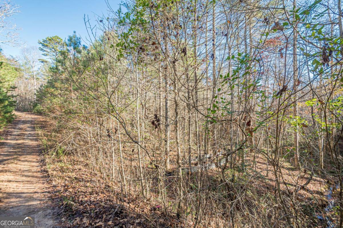 0 Pine Woods Drive Blairsville GA 30512