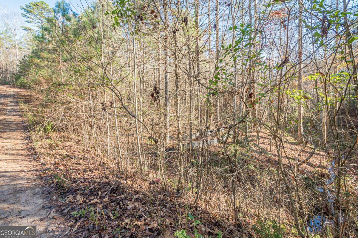 0 Pine Woods Drive Blairsville GA 30512