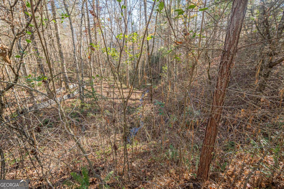 0 Pine Woods Drive Blairsville GA 30512
