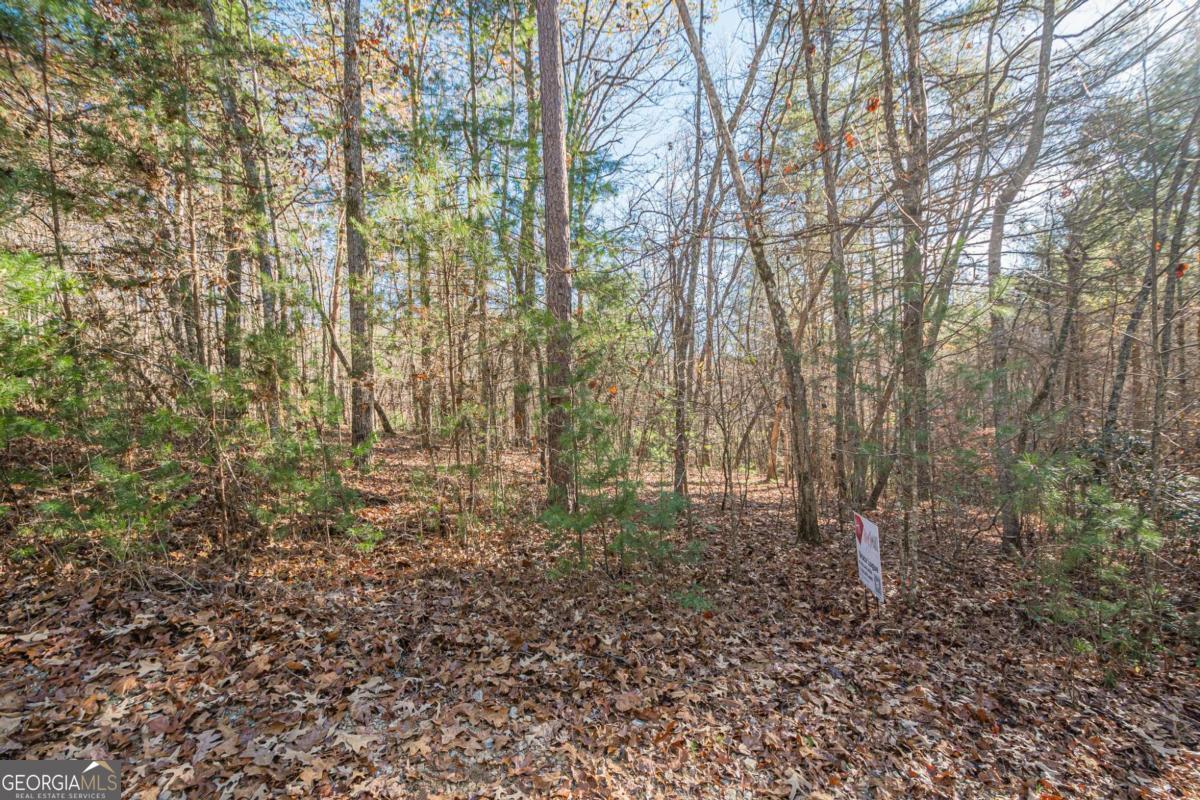 0 Pine Woods Drive Blairsville GA 30512
