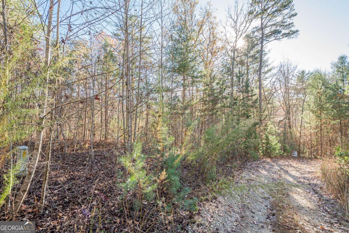 0 Pine Woods Drive Blairsville GA 30512
