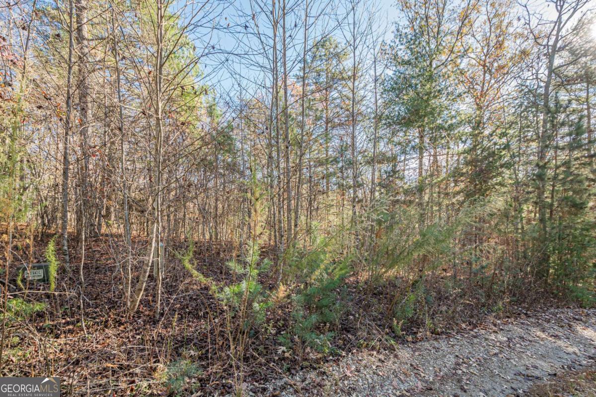 0 Pine Woods Drive Blairsville GA 30512