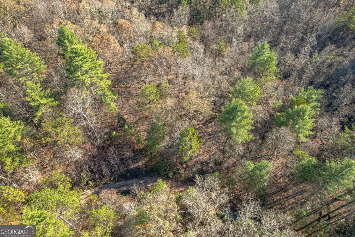 0 Pine Woods Drive Blairsville GA 30512
