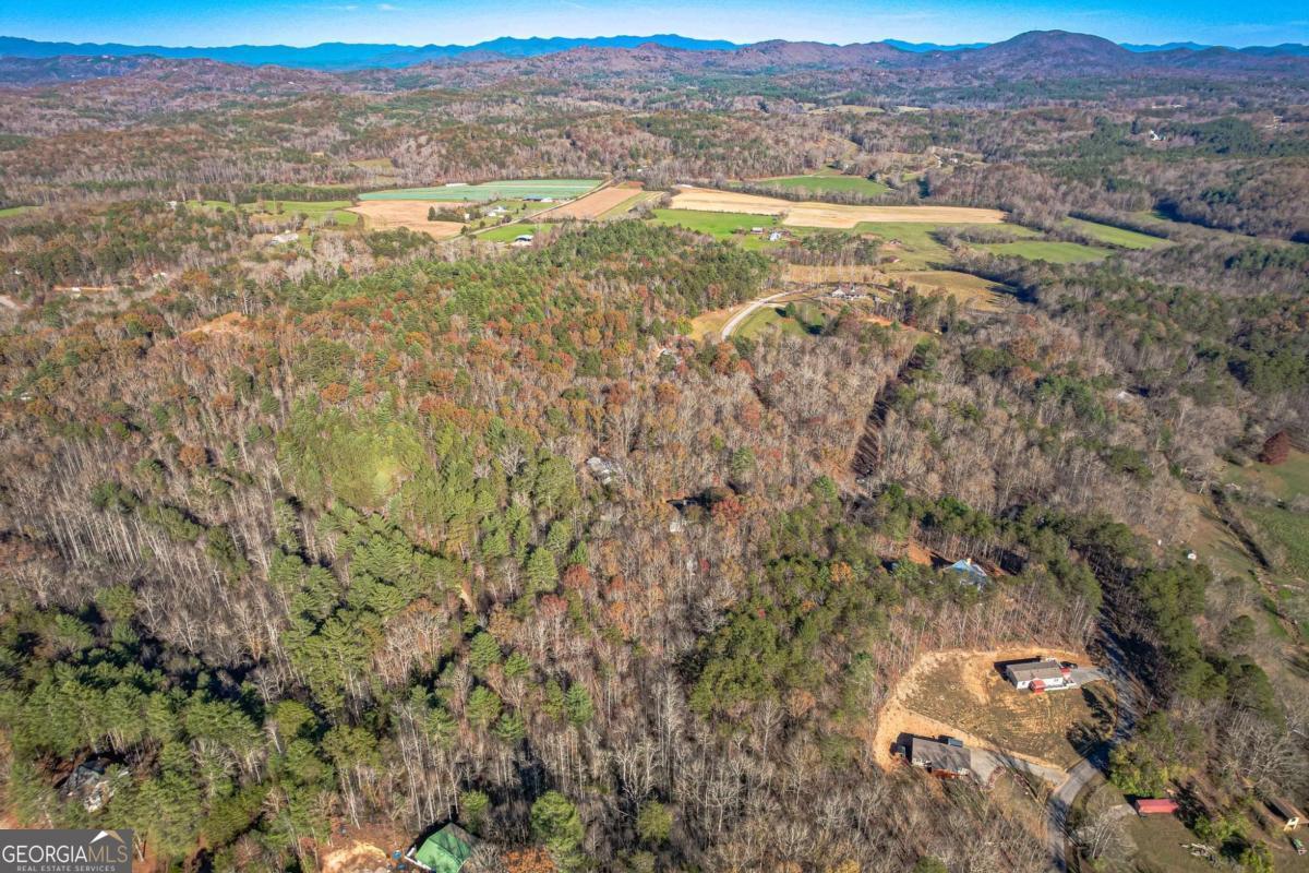 0 Pine Woods Drive Blairsville GA 30512