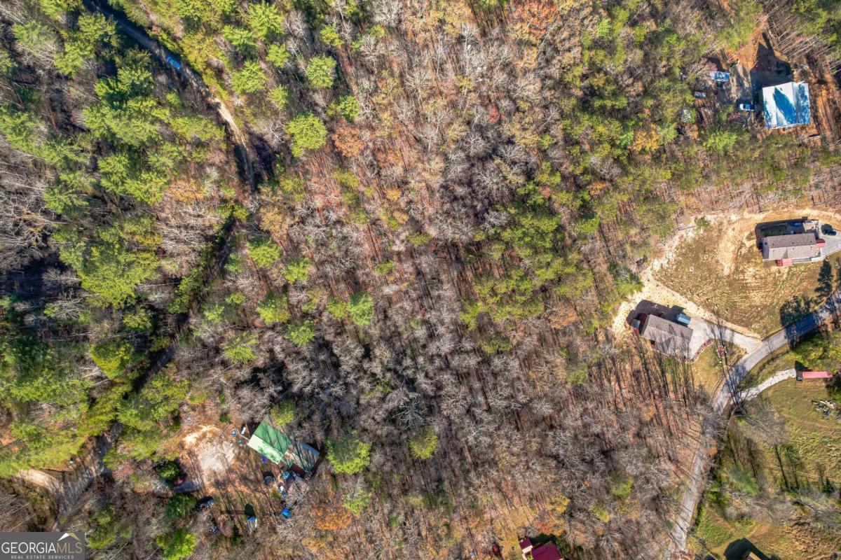 0 Pine Woods Drive Blairsville GA 30512