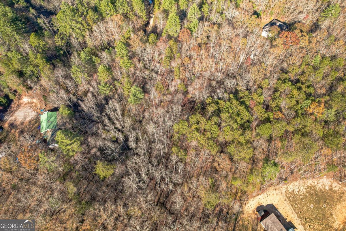 0 Pine Woods Drive Blairsville GA 30512
