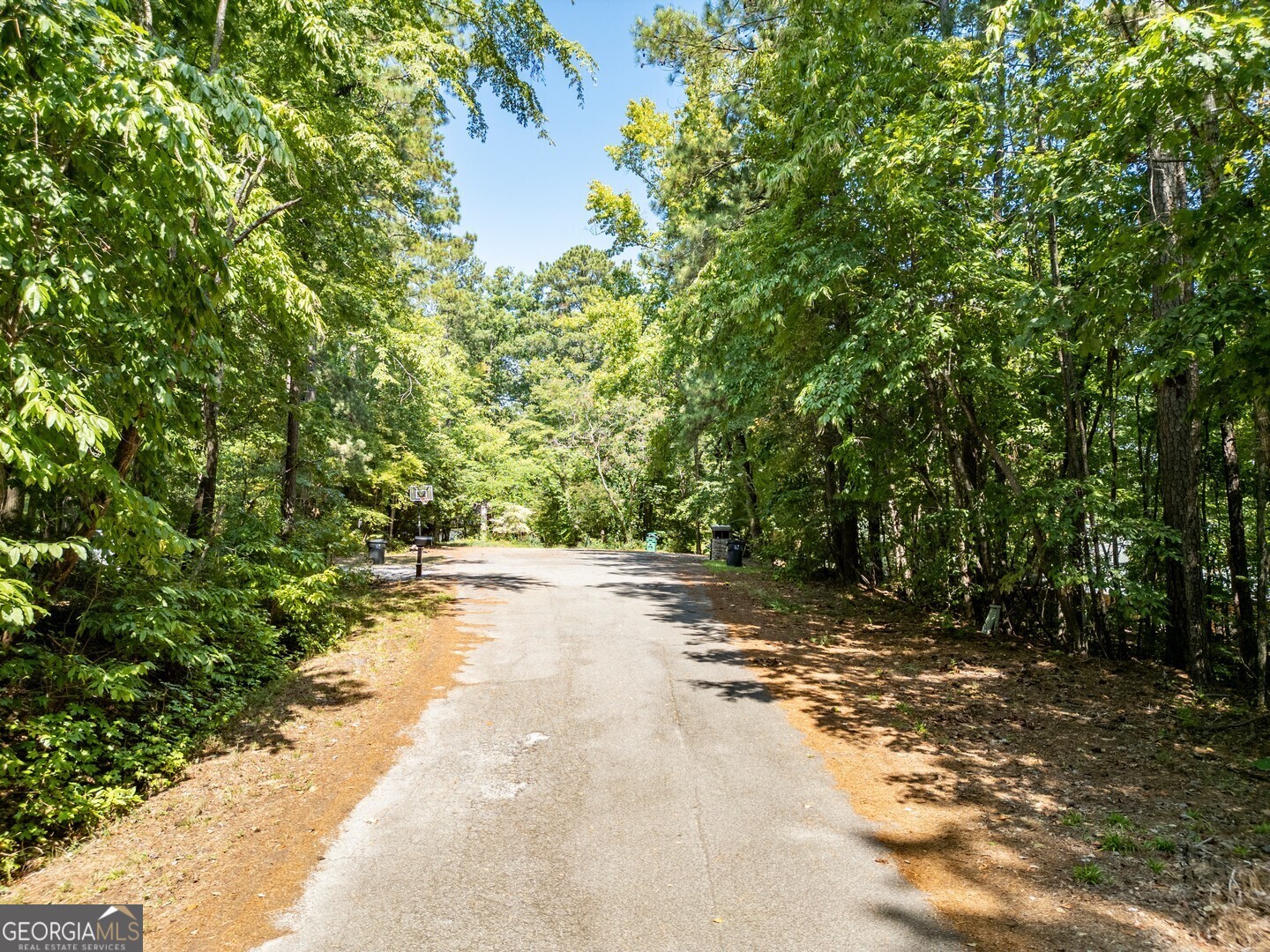 0 Nighthawk Court Monticello GA 31064