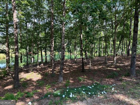 1117 Rome Beauty Clarkesville GA 30523