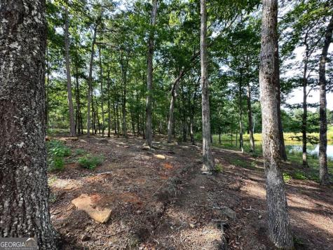 1117 Rome Beauty Clarkesville GA 30523