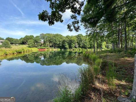 1117 Rome Beauty Clarkesville GA 30523