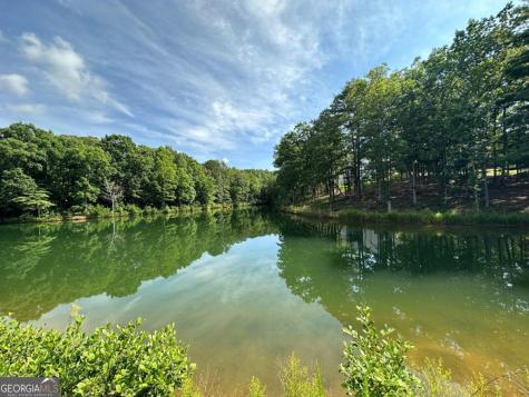 1117 Rome Beauty Clarkesville GA 30523