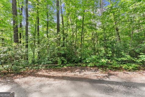 0 Sweetheart Lane Sautee Nacoochee GA 30571