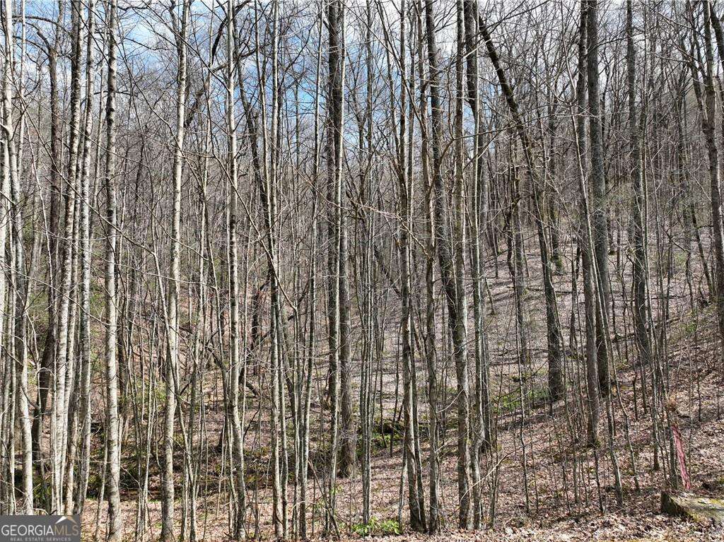 64 Street Andrews Way Ellijay GA 30536