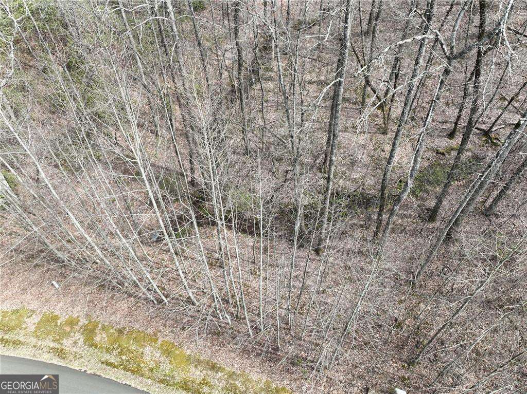 64 Street Andrews Way Ellijay GA 30536