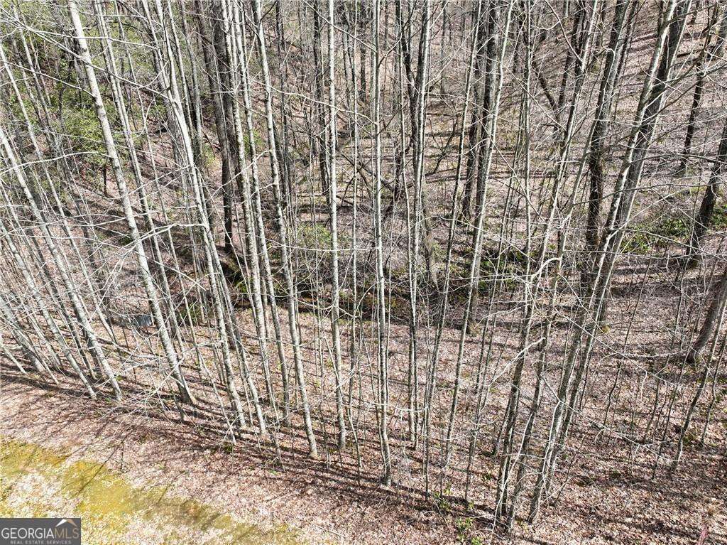 64 Street Andrews Way Ellijay GA 30536