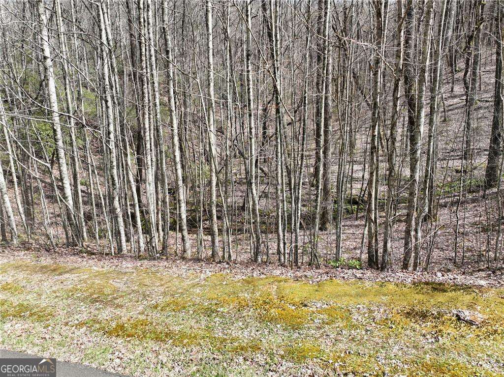 64 Street Andrews Way Ellijay GA 30536