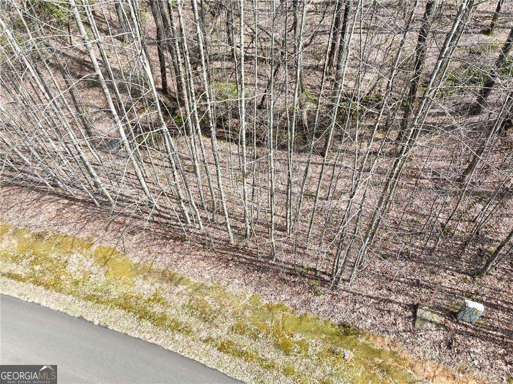 64 Street Andrews Way Ellijay GA 30536