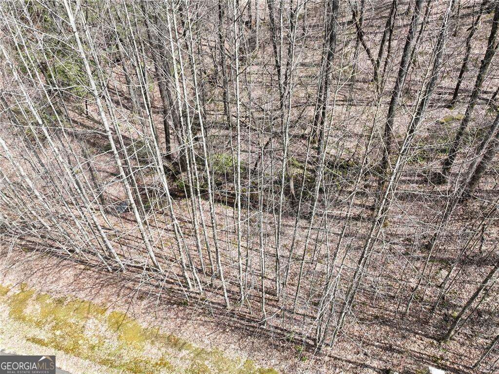 64 Street Andrews Way Ellijay GA 30536