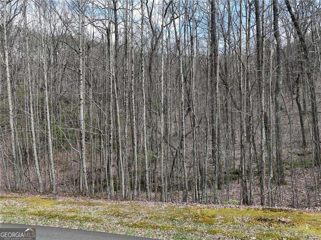 64 Street Andrews Way Ellijay GA 30536