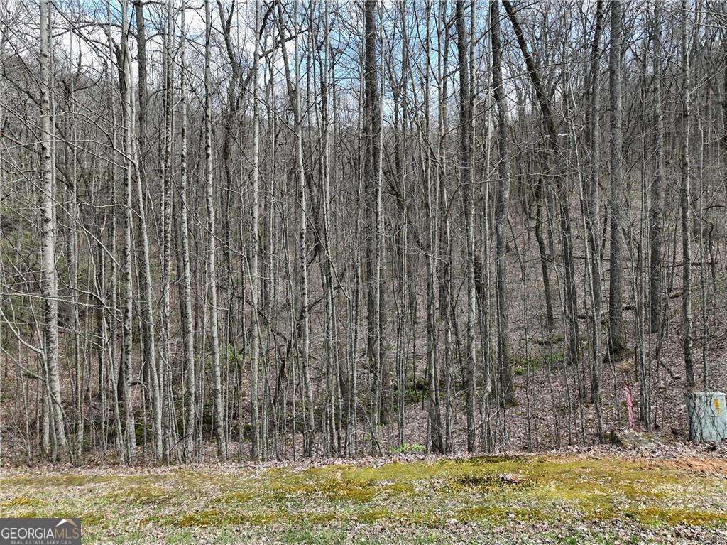 64 Street Andrews Way Ellijay GA 30536