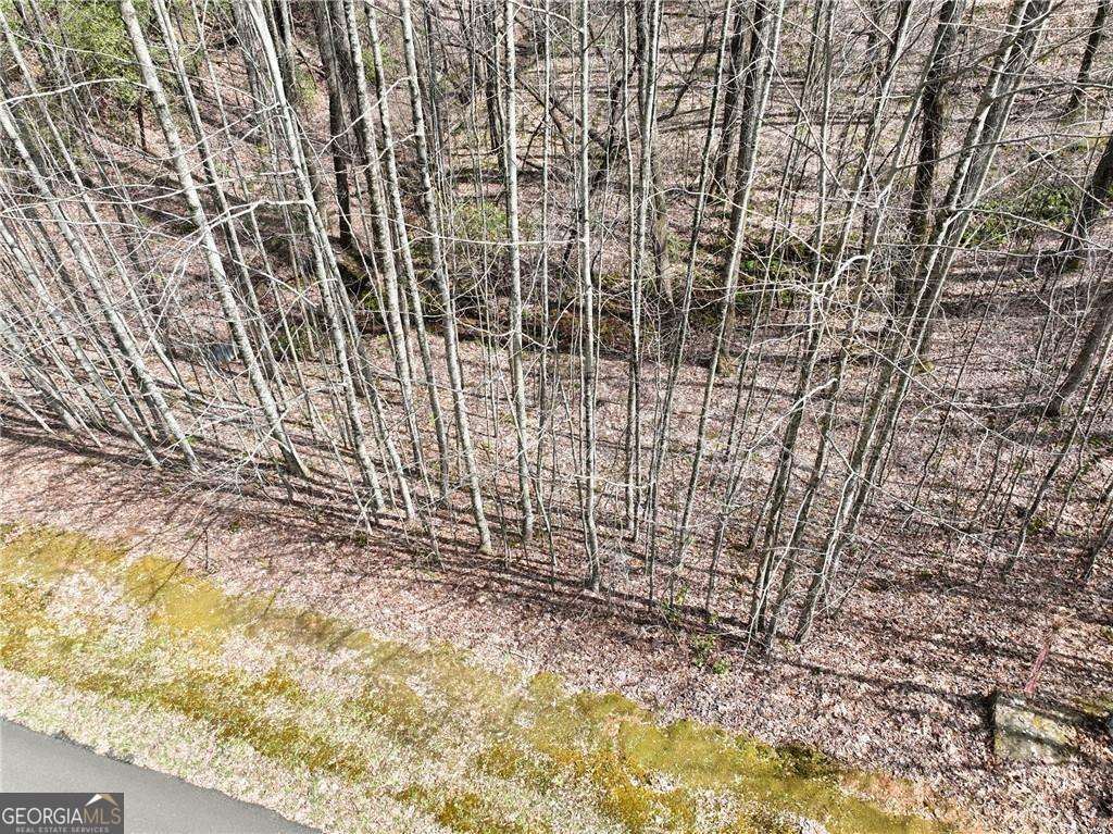 64 Street Andrews Way Ellijay GA 30536
