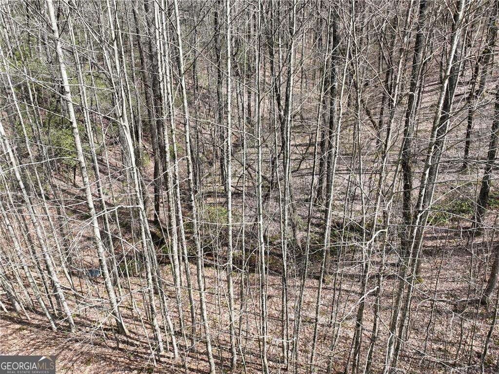 64 Street Andrews Way Ellijay GA 30536