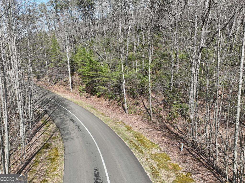 64 Street Andrews Way Ellijay GA 30536