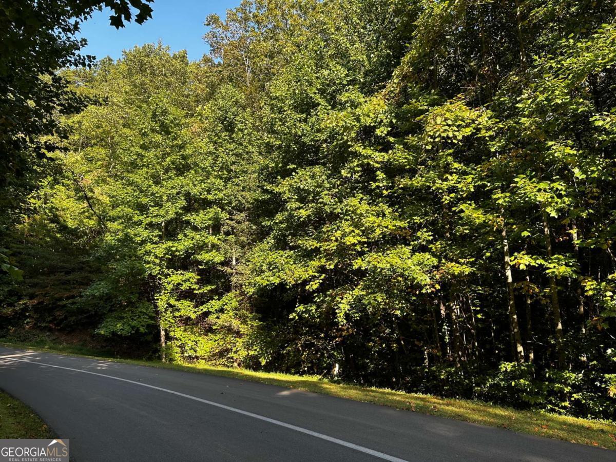 64 Street Andrews Way Ellijay GA 30536