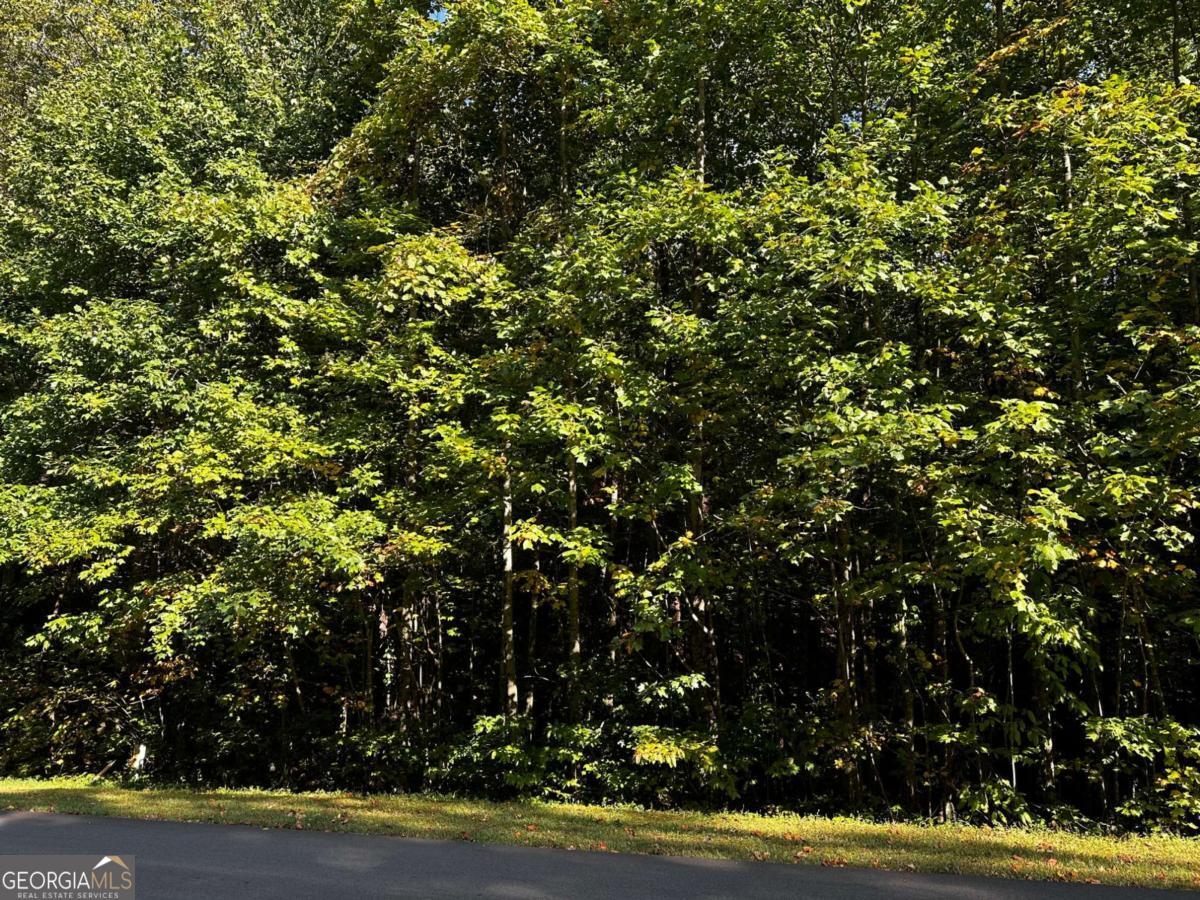 64 Street Andrews Way Ellijay GA 30536