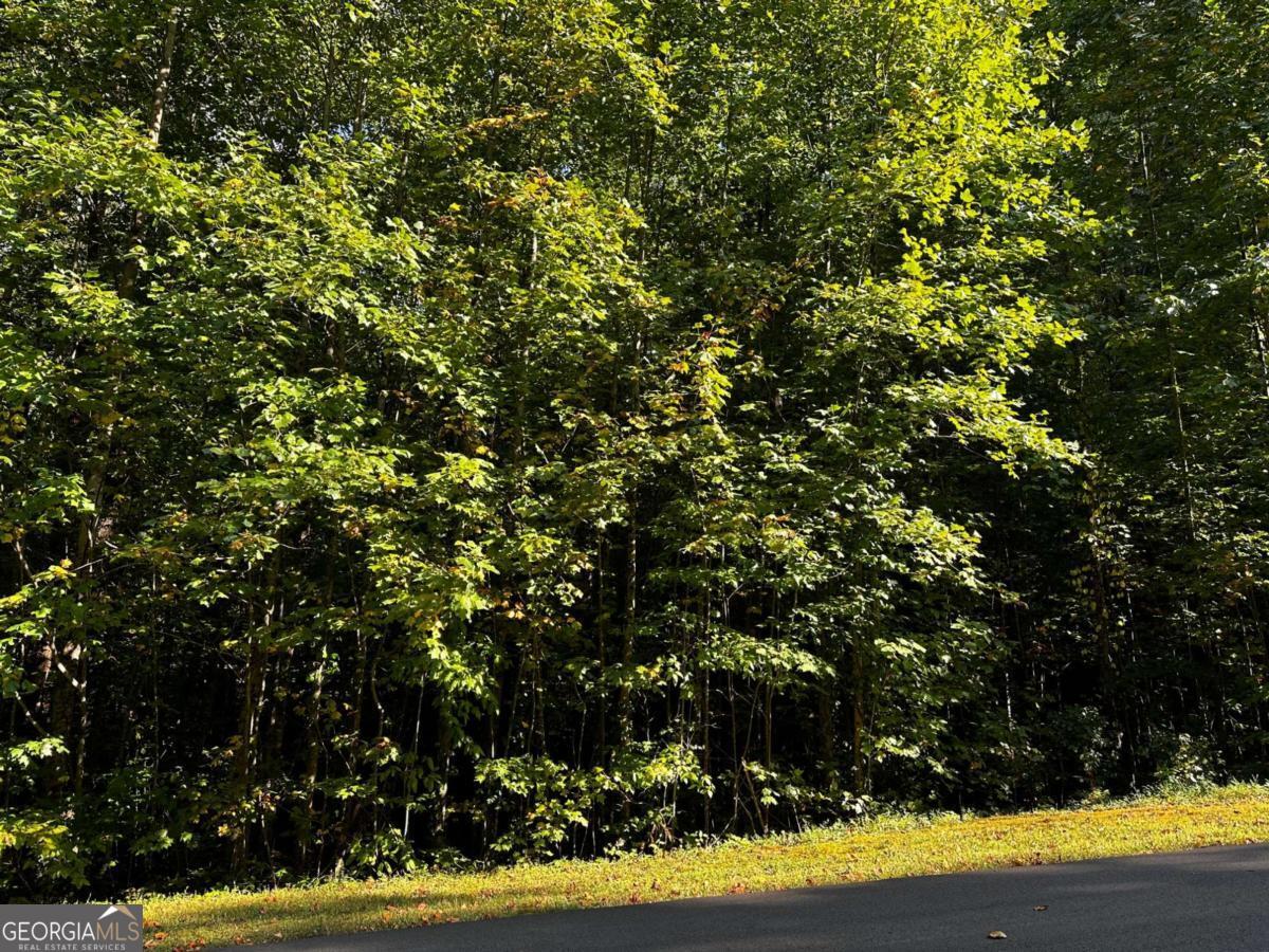 64 Street Andrews Way Ellijay GA 30536