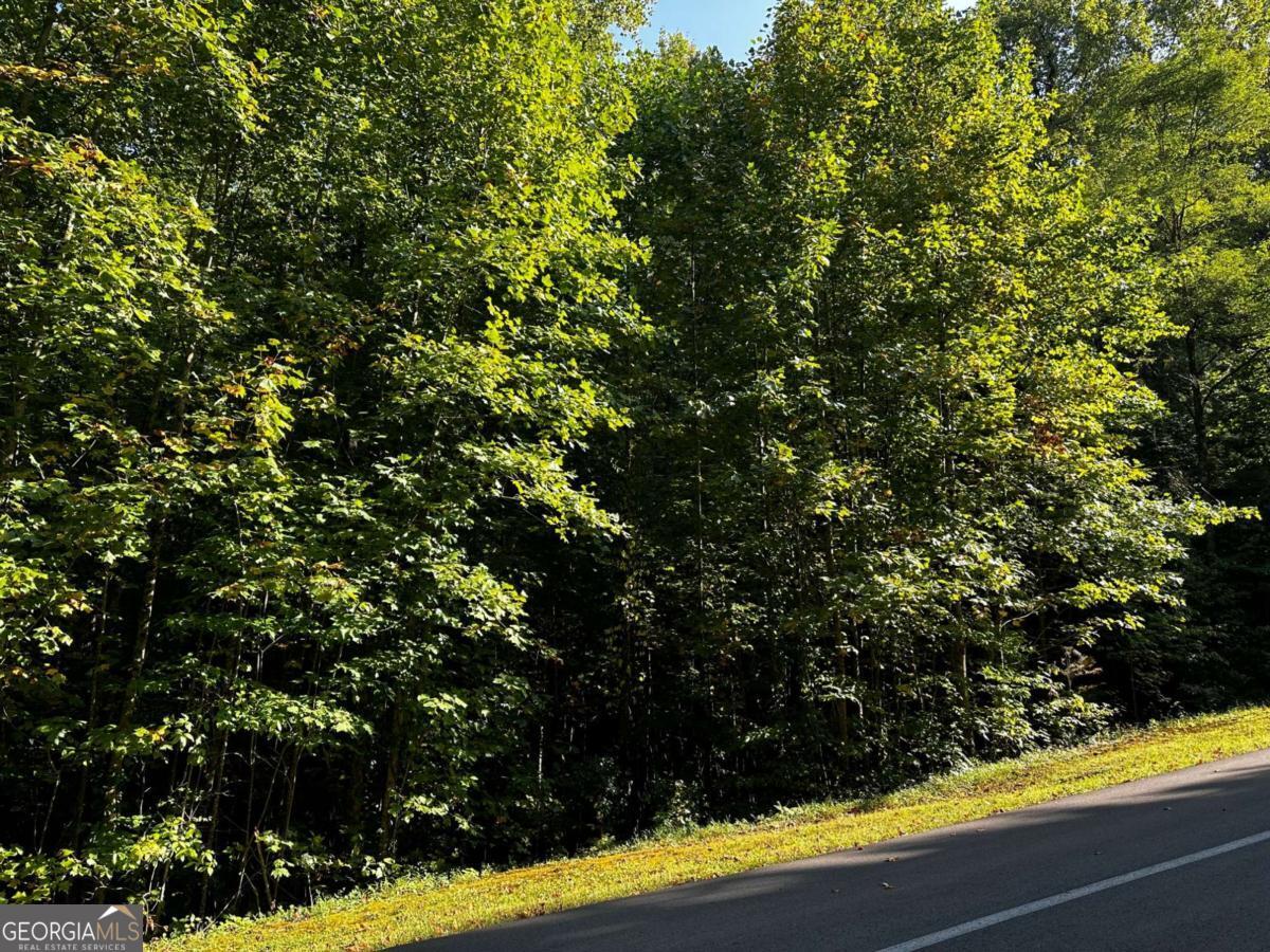 64 Street Andrews Way Ellijay GA 30536