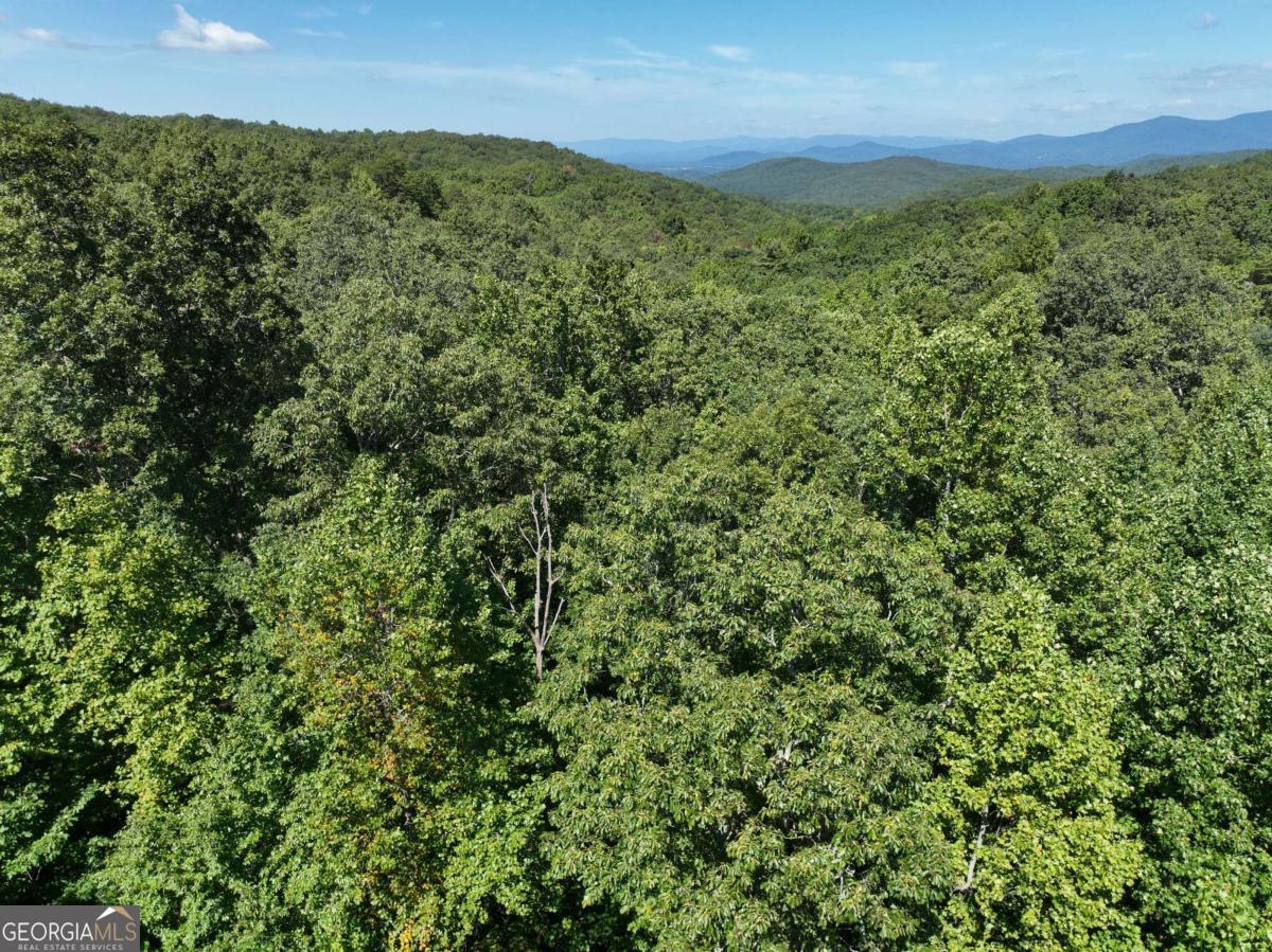 64 Street Andrews Way Ellijay GA 30536