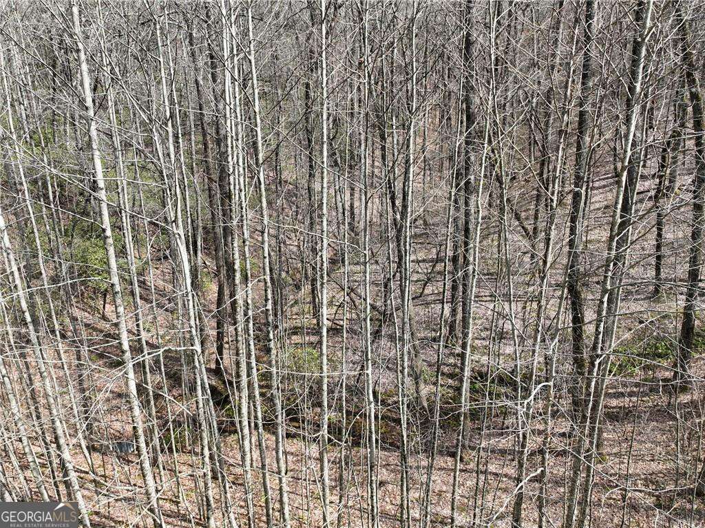 64 Street Andrews Way Ellijay GA 30536