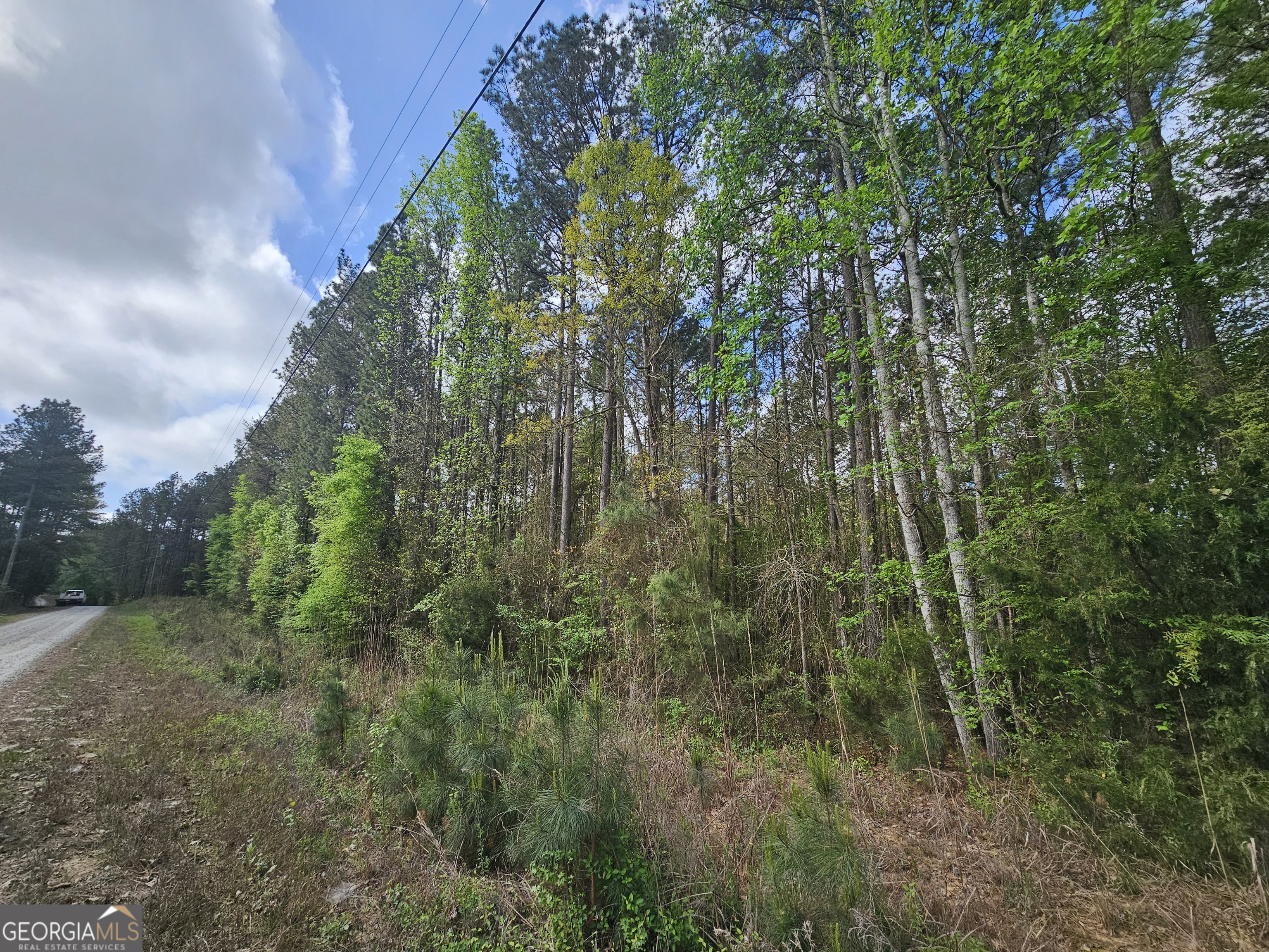 Lot 12 Gregg Shoals Drive Elberton GA 30635