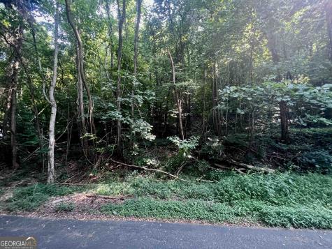 Lot 13 Chalet Drive Sautee Nacoochee GA 30571