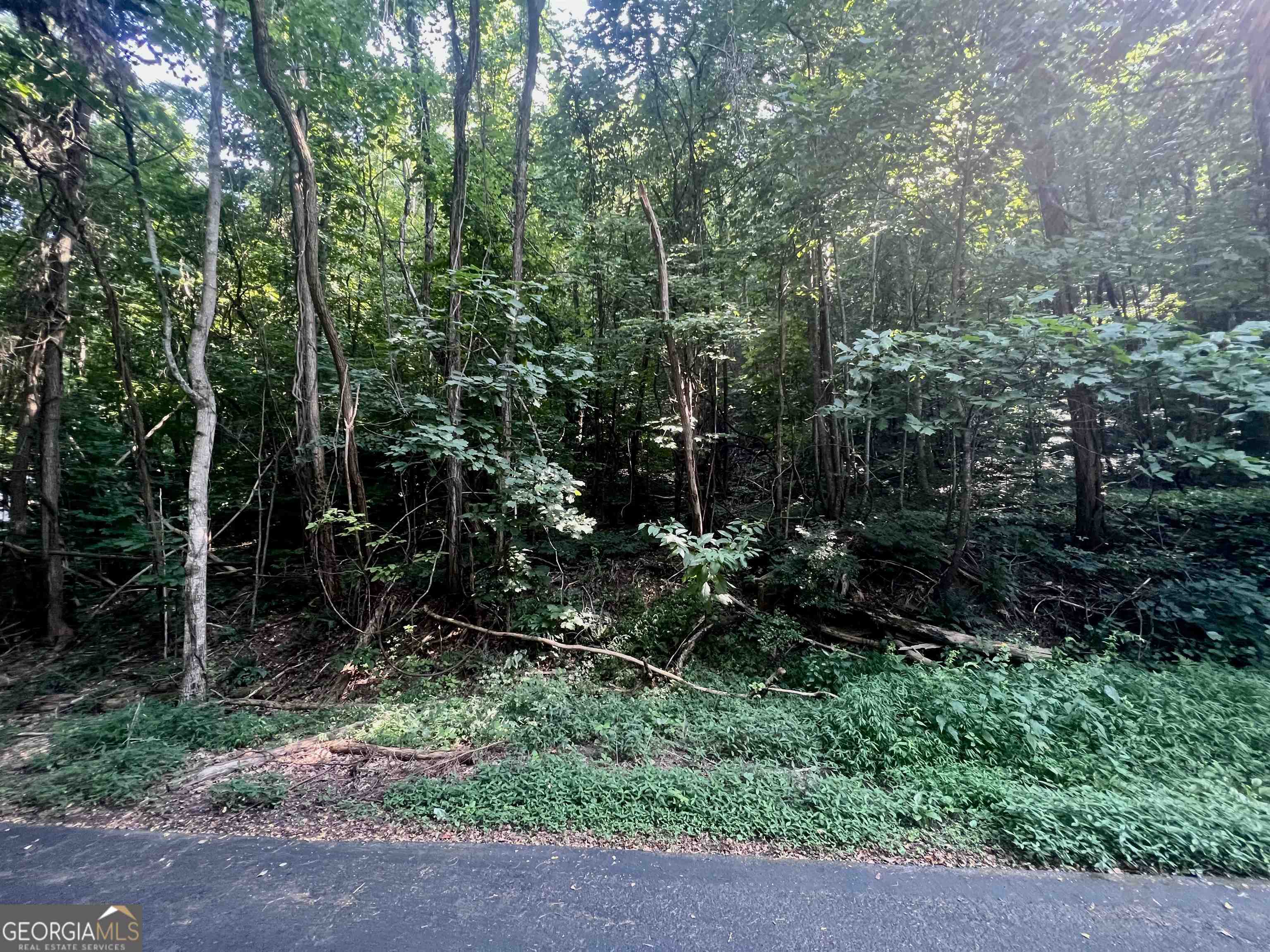 Lot 13 Chalet Drive Sautee Nacoochee GA 30571