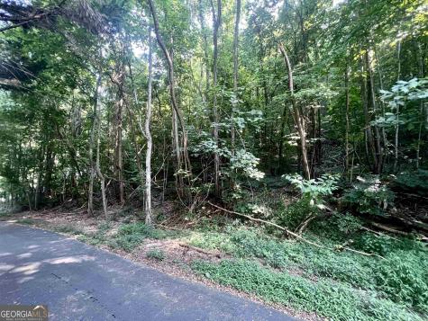 Lot 13 Chalet Drive Sautee Nacoochee GA 30571