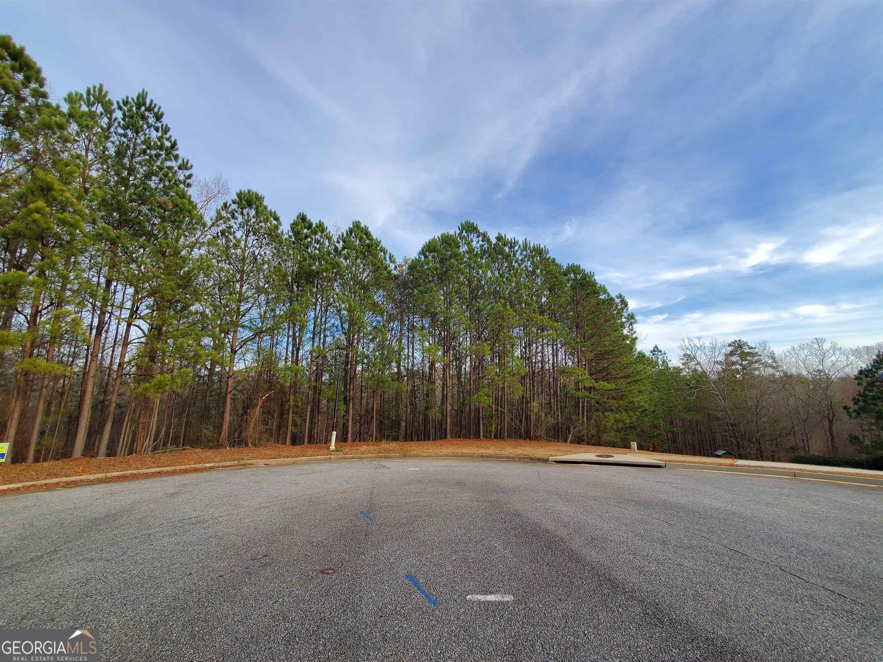 7731 Windswept Way Douglasville GA 30135
