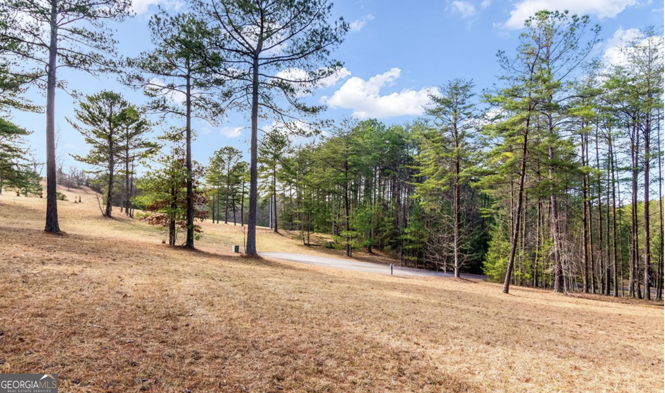 Lot 87 Creek Hollow Lane Blairsville GA 30512