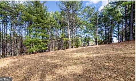 Lot 87 Creek Hollow Lane Blairsville GA 30512