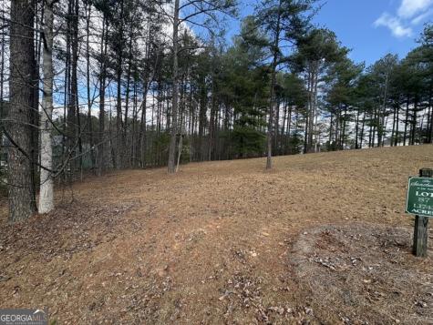 Lot 87 Creek Hollow Lane Blairsville GA 30512