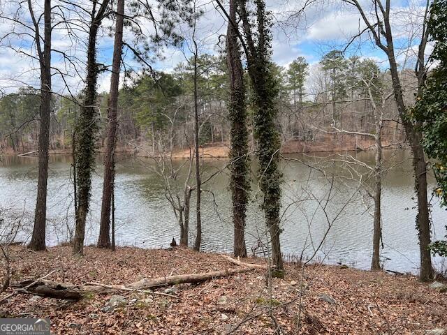 0 Lower Dixie Lake Road Union City GA 30291