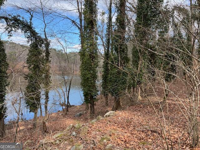 0 Lower Dixie Lake Road Union City GA 30291