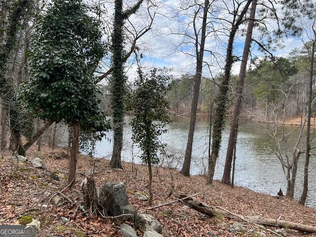 0 Lower Dixie Lake Road Union City GA 30291
