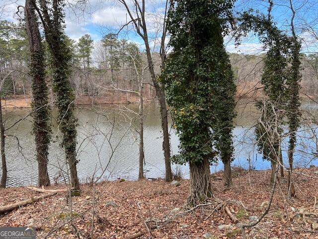 0 Lower Dixie Lake Road Union City GA 30291