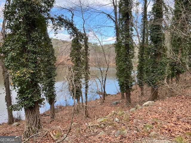 0 Lower Dixie Lake Road Union City GA 30291