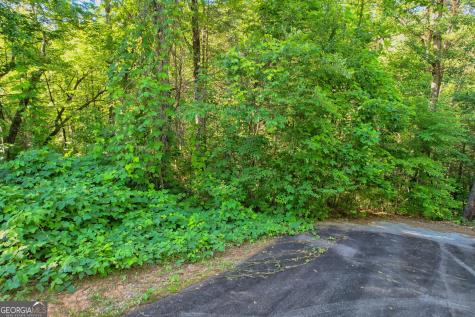 Lot 112 Timber Creek Drive Clayton GA 30525