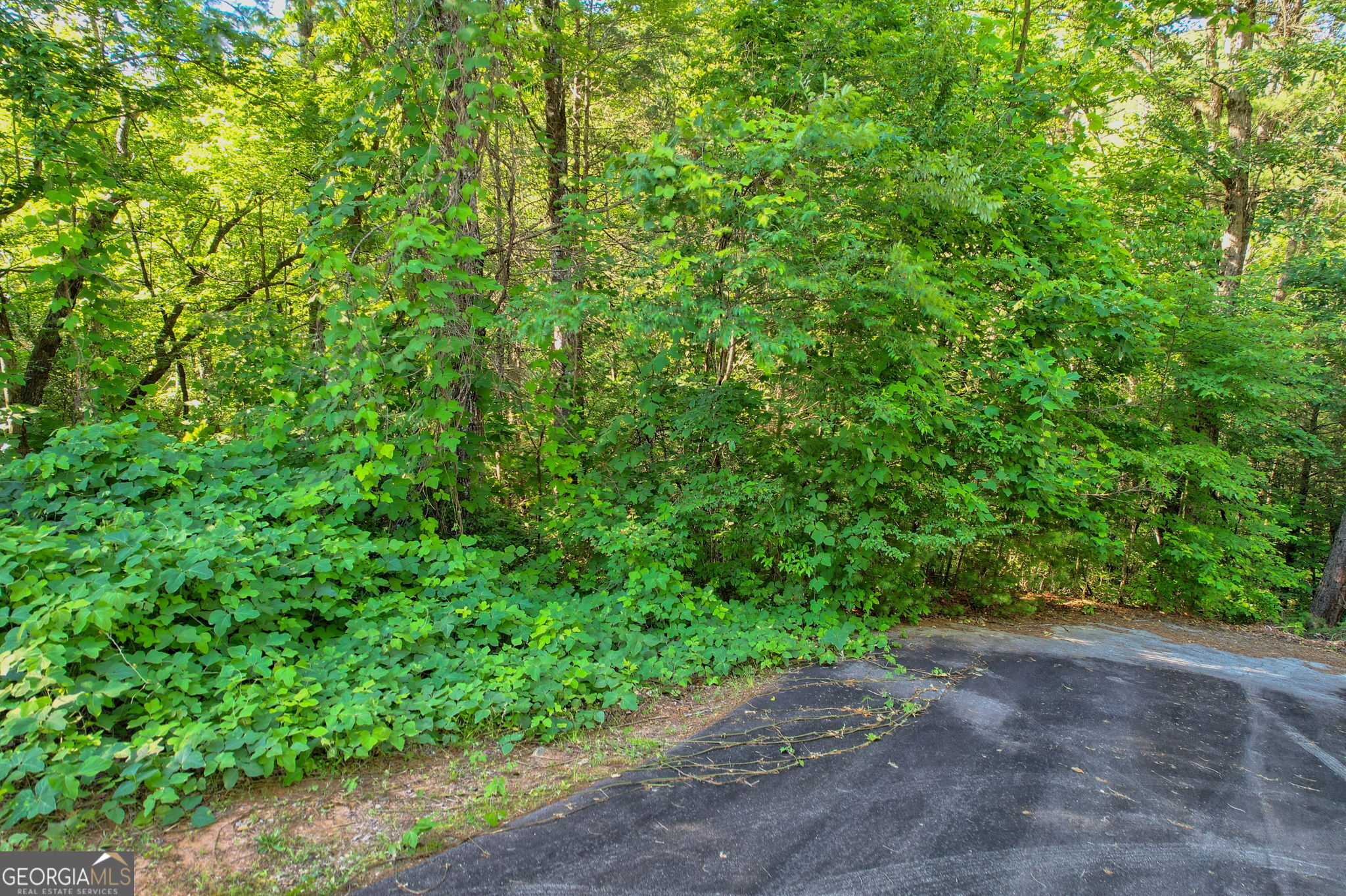 Lot 112 Timber Creek Drive Clayton GA 30525